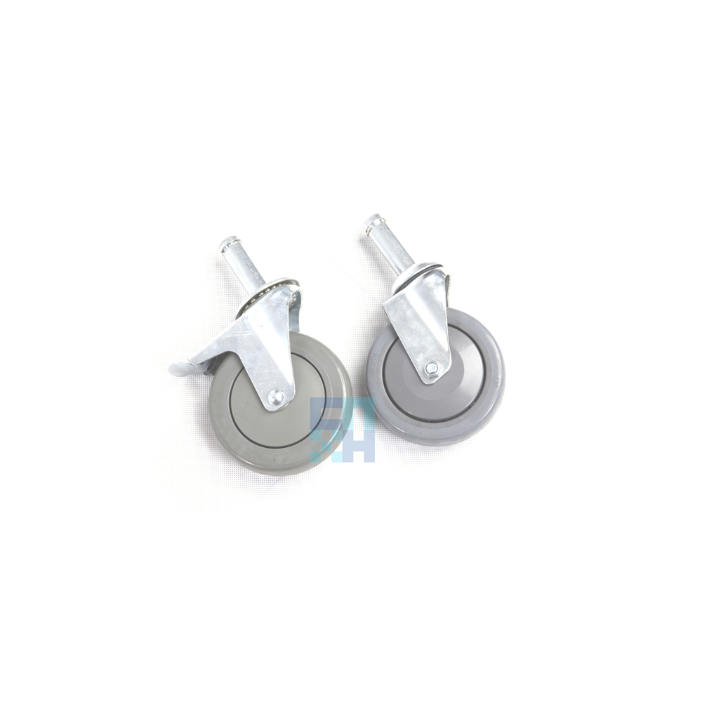 Castors_AA0.jpg